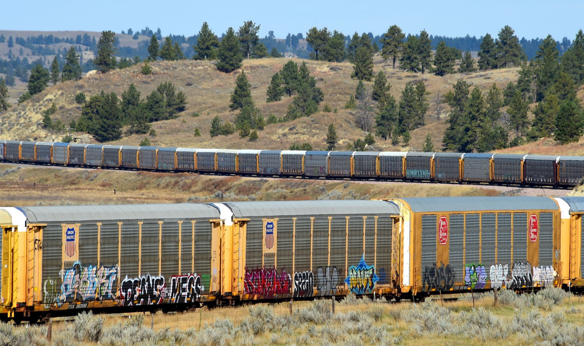 Graffiti rail cars